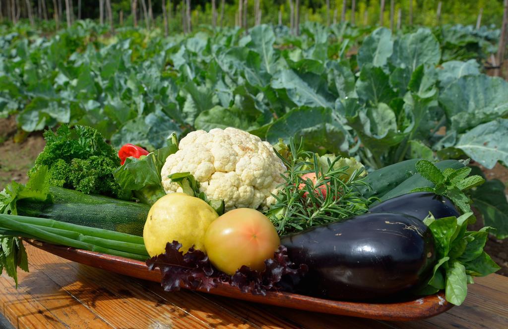 فندق Rancho Baiguate جاراباكو المظهر الخارجي الصورة